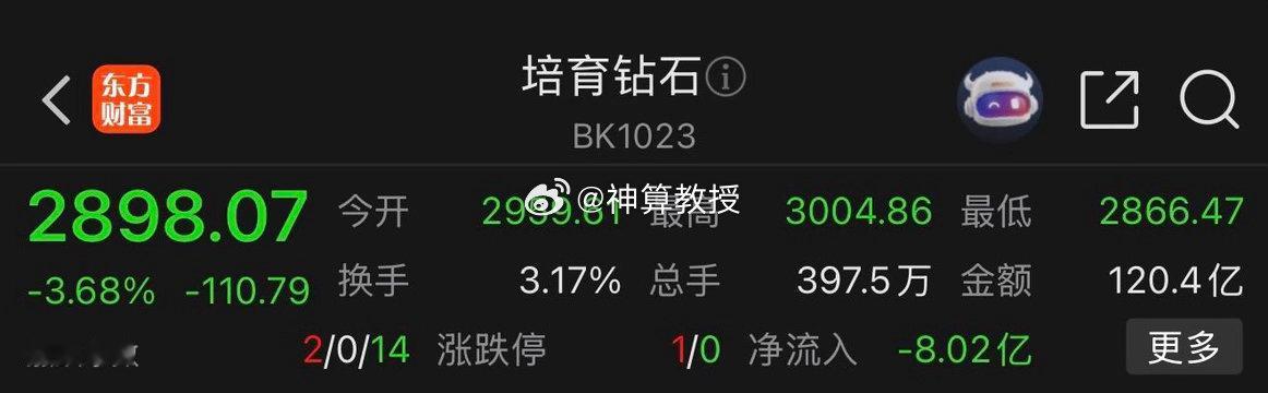 今天盘面有一个特点，就是“培育钻石” 今天是跌幅靠前的，这个板块走势跟大盘一般是