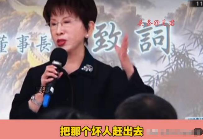 “把那个坏人赶出去！” 洪秀柱 5 月 3 日上午参加侯汉廷新书发布会时直接表态