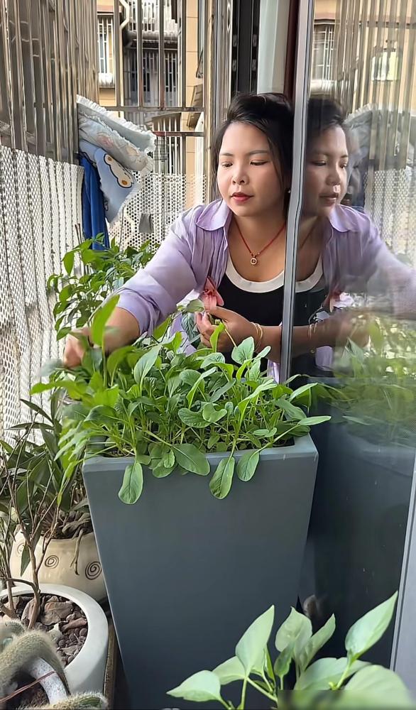 农村小英子说的话自相矛盾，大家发现了吗？

我关注她快三年了，当初她和王四闹离婚