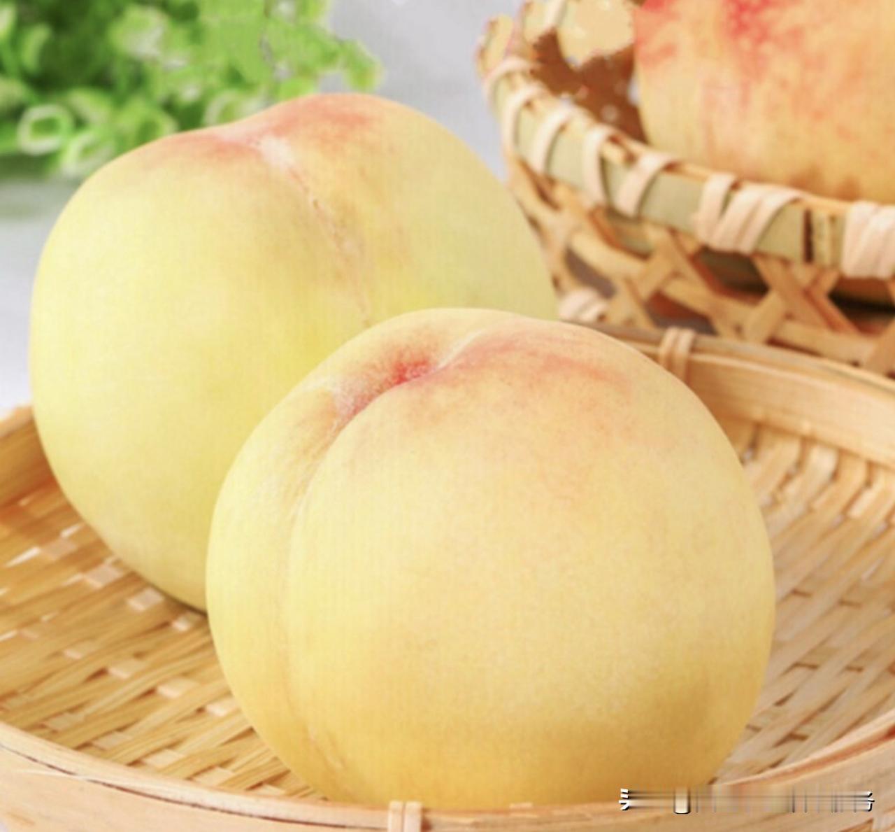 桃树根结线虫病用什么药? 桃树根结线虫是危害桃树根系的主要土传病害，受害根系形成