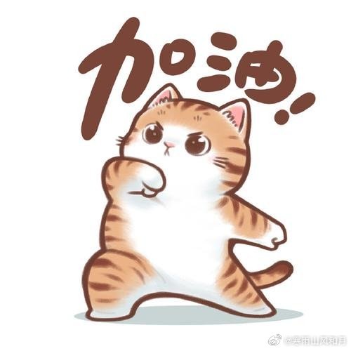 不同分数填志愿时的家长belike中等分数家长纠结内耗最严重，冲稳保来回权衡，既