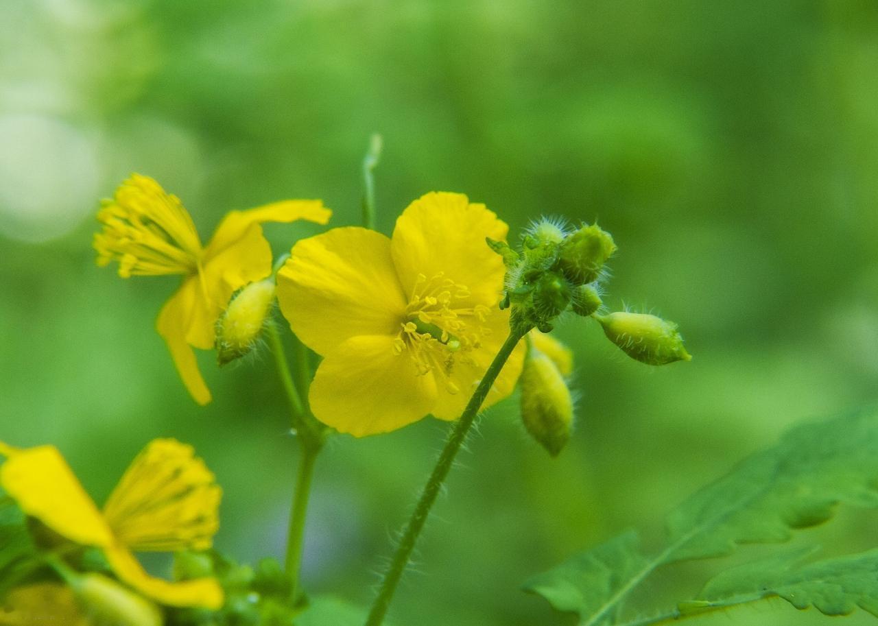 什么也不会跟着你一辈子的，青春不能，美貌不能，恋人未必可以白头偕老，甚至金钱也说