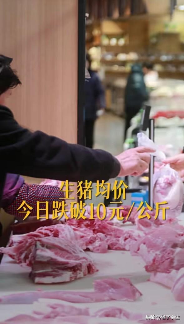 生猪价格过度下跌 中央收储政策能否稳住市场？

生猪价格已进入过度下跌一级预警区