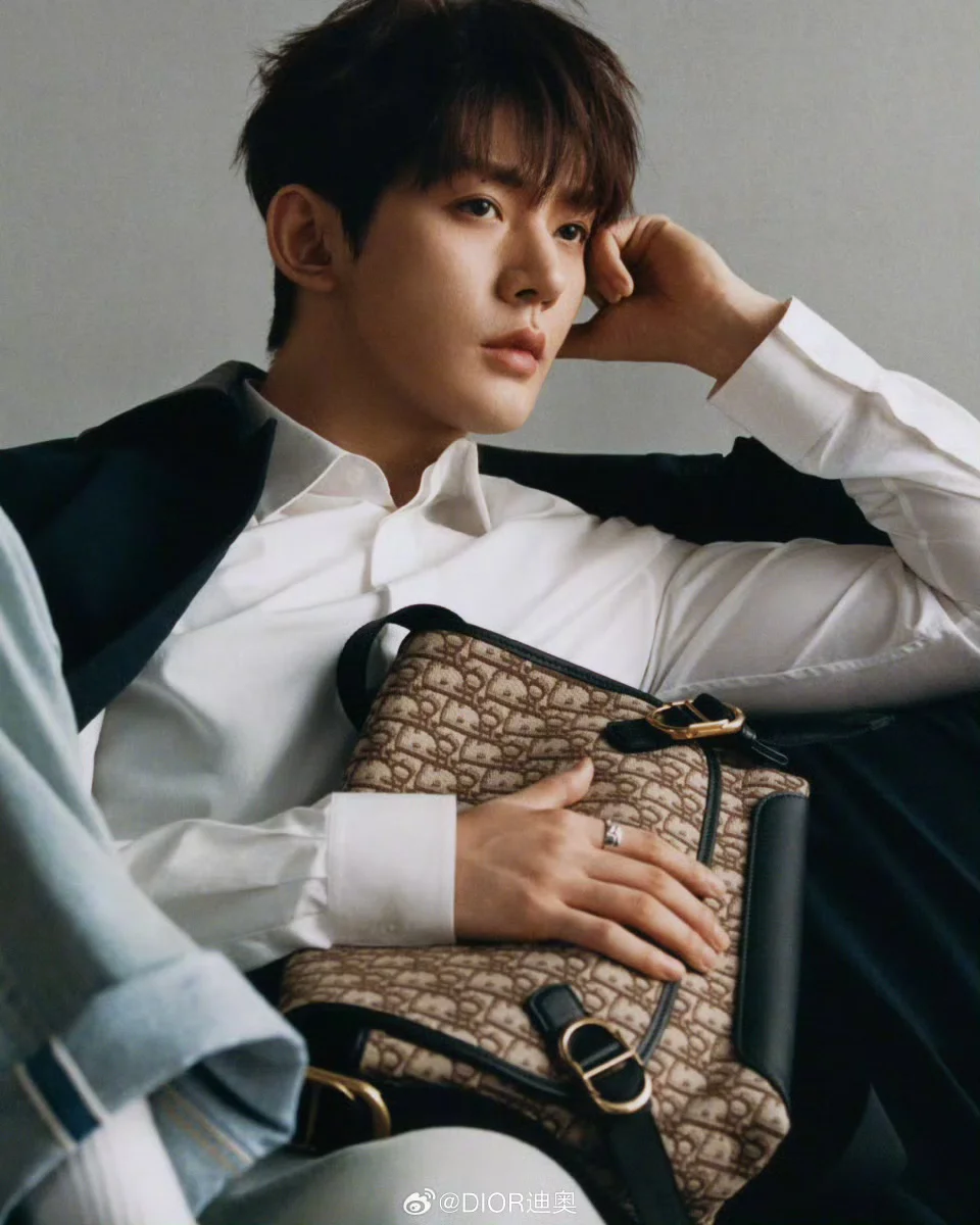 给邓为化的迪奥广告妆