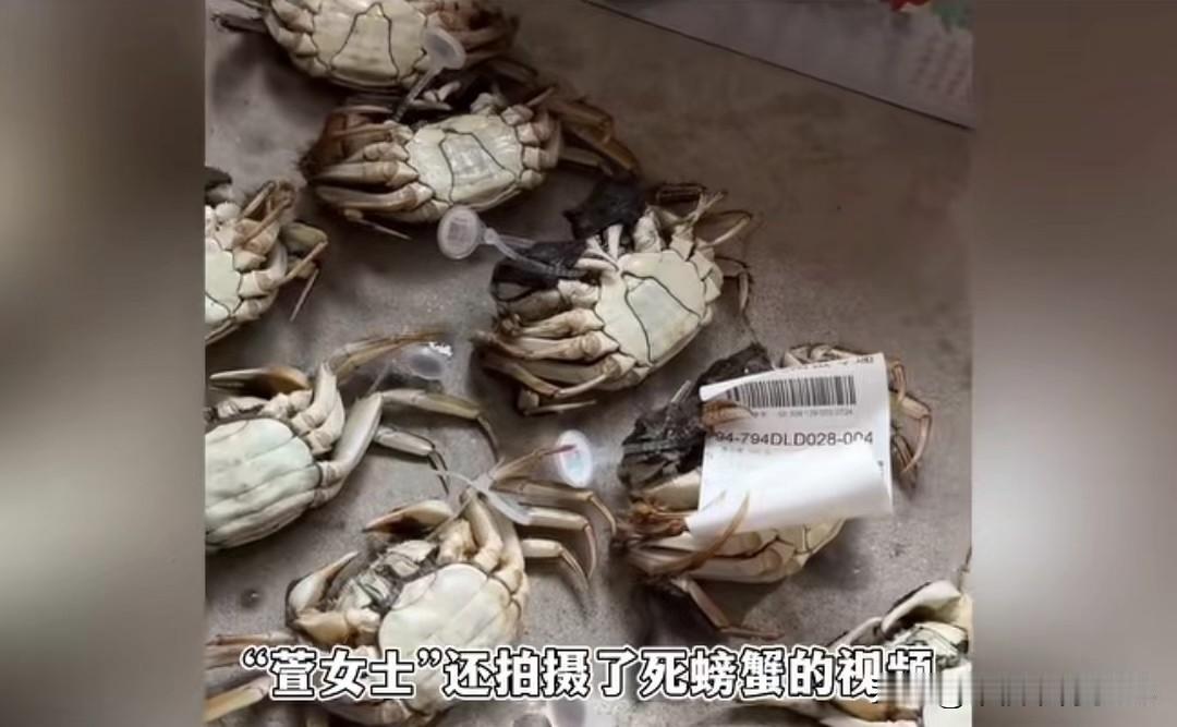 广东一女子收到货后，用AI生成的死蟹视频白嫖，最后不仅被抓还暴露自己是个彪形大汉