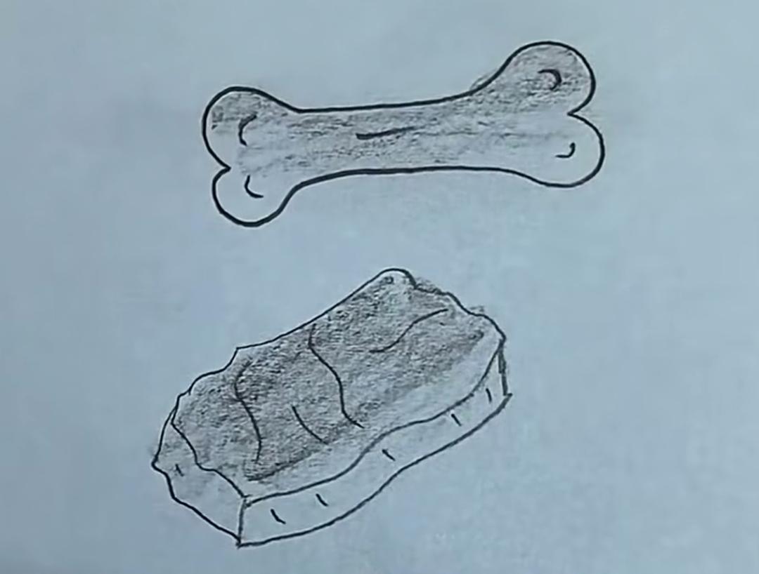 一根骨头和一块肉，狗狗最爱！这个组合很搞笑，开心猜词语，开心快乐，活跃思维等着你