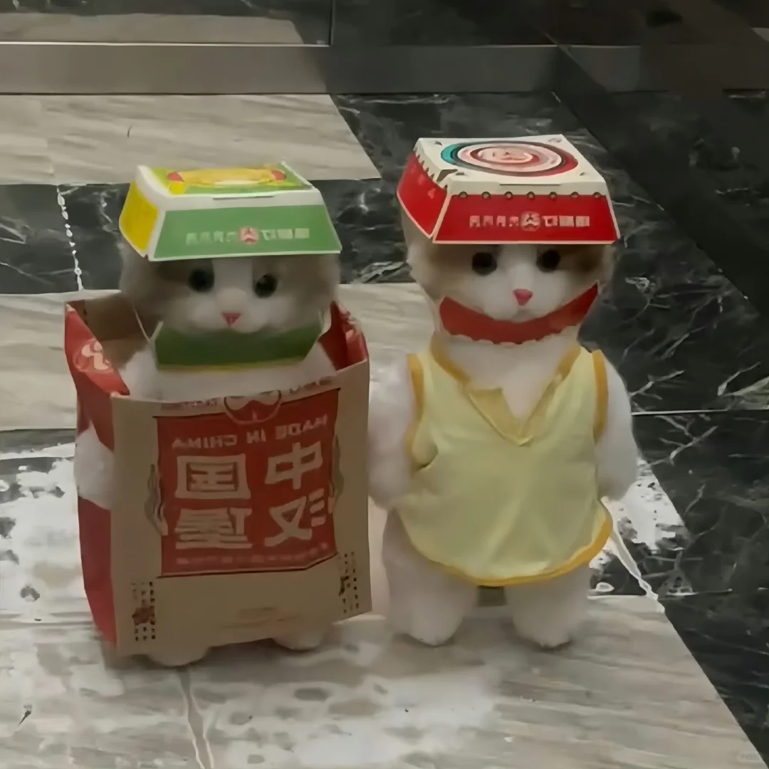 变装小猫₊⁺ʚ=･ ֊ ･=ɞ‧₊˚