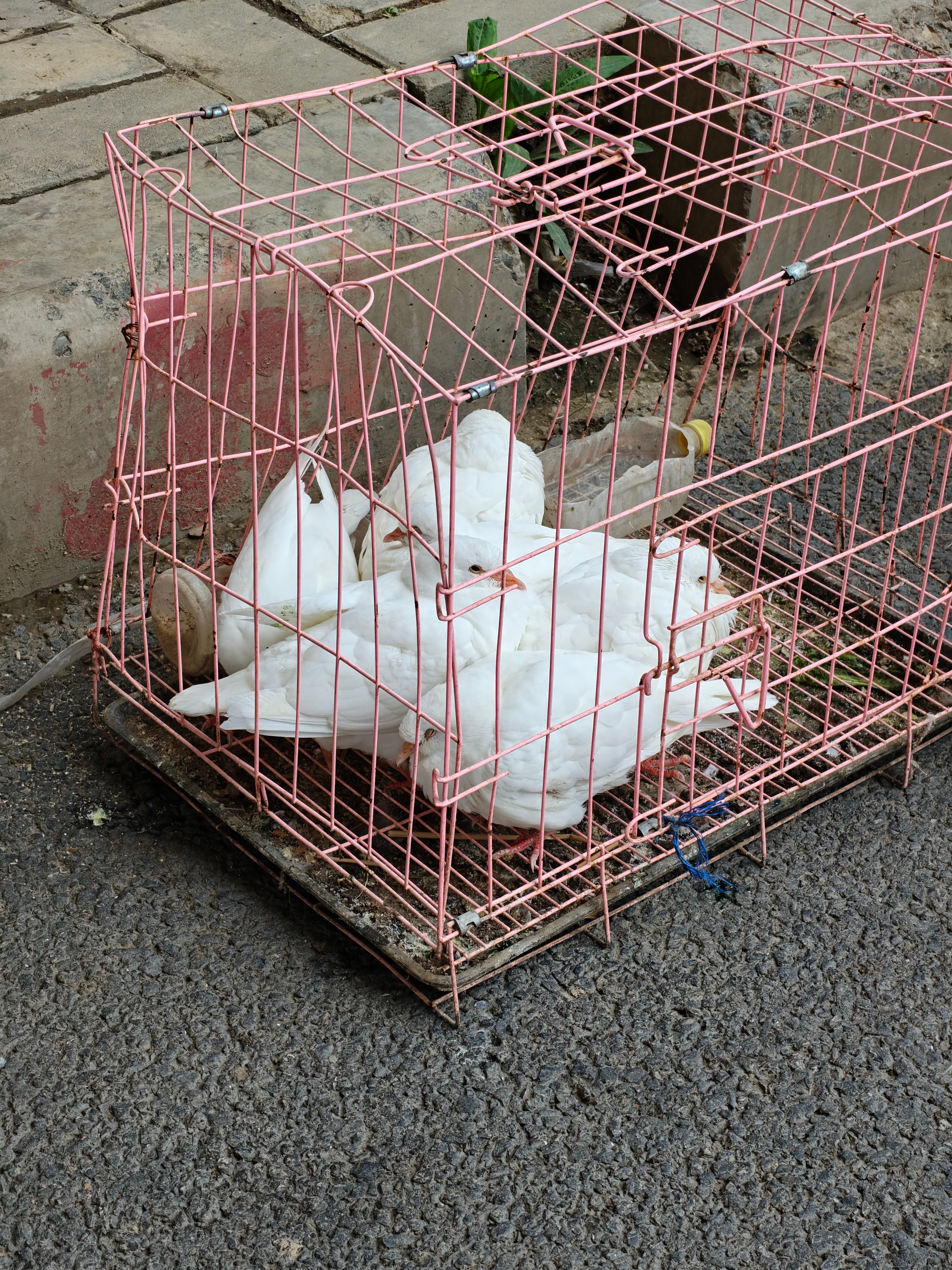 已经没有刚毕业时候的心气了，那时候通宵干活都行，现在大白天也只想偷懒。干不了一点