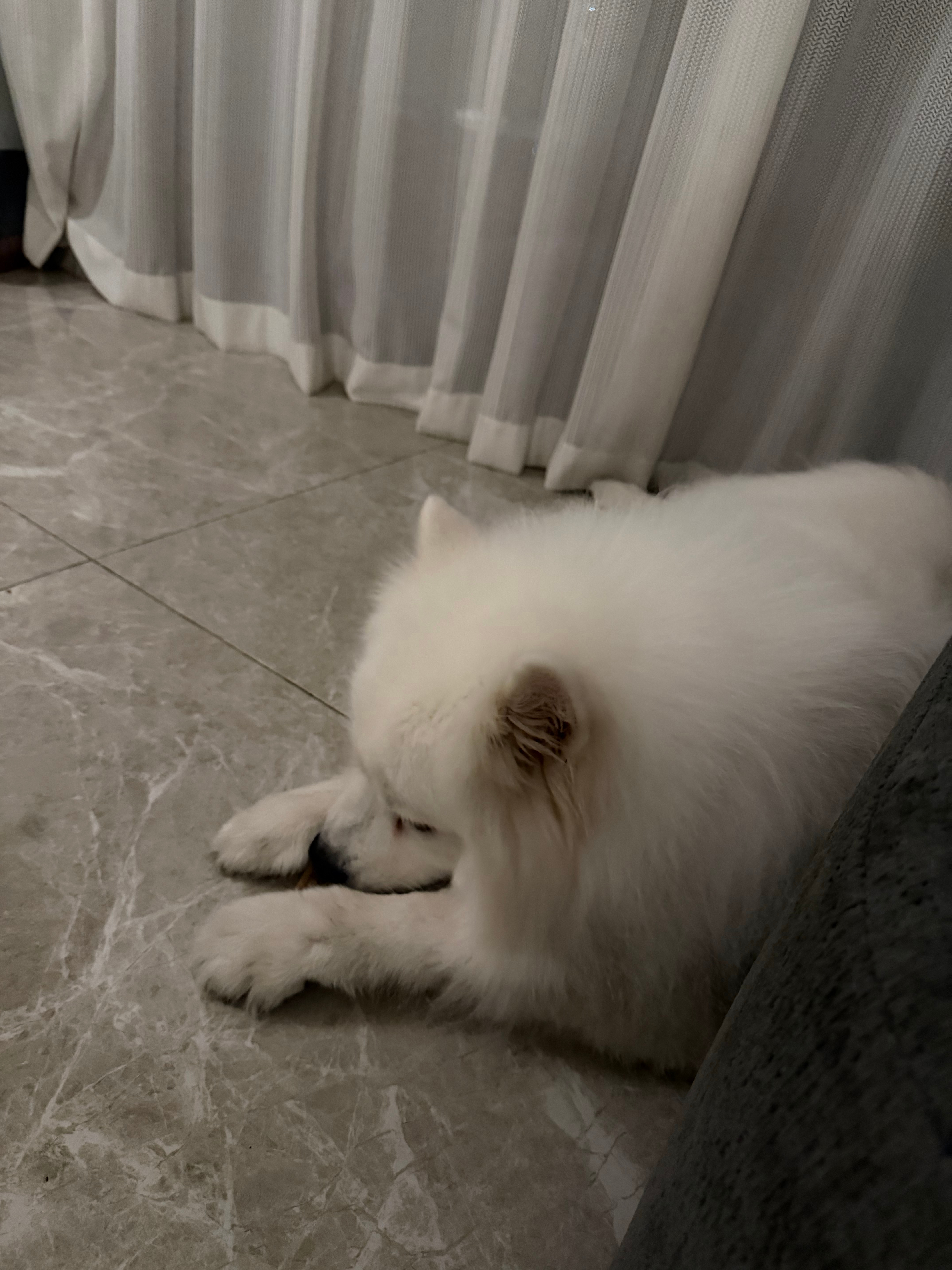 谢谢 ​​​