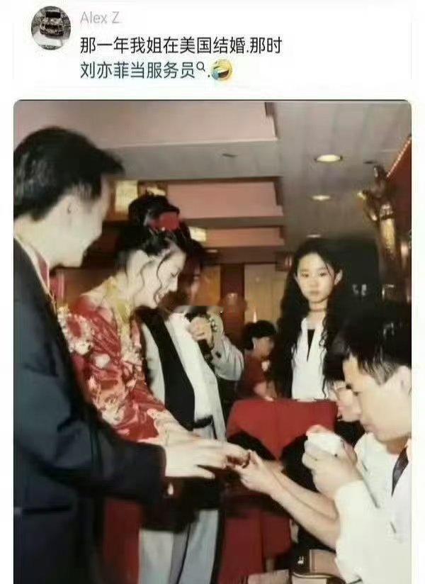 刘亦菲居然在美国当过服务员 ​​​