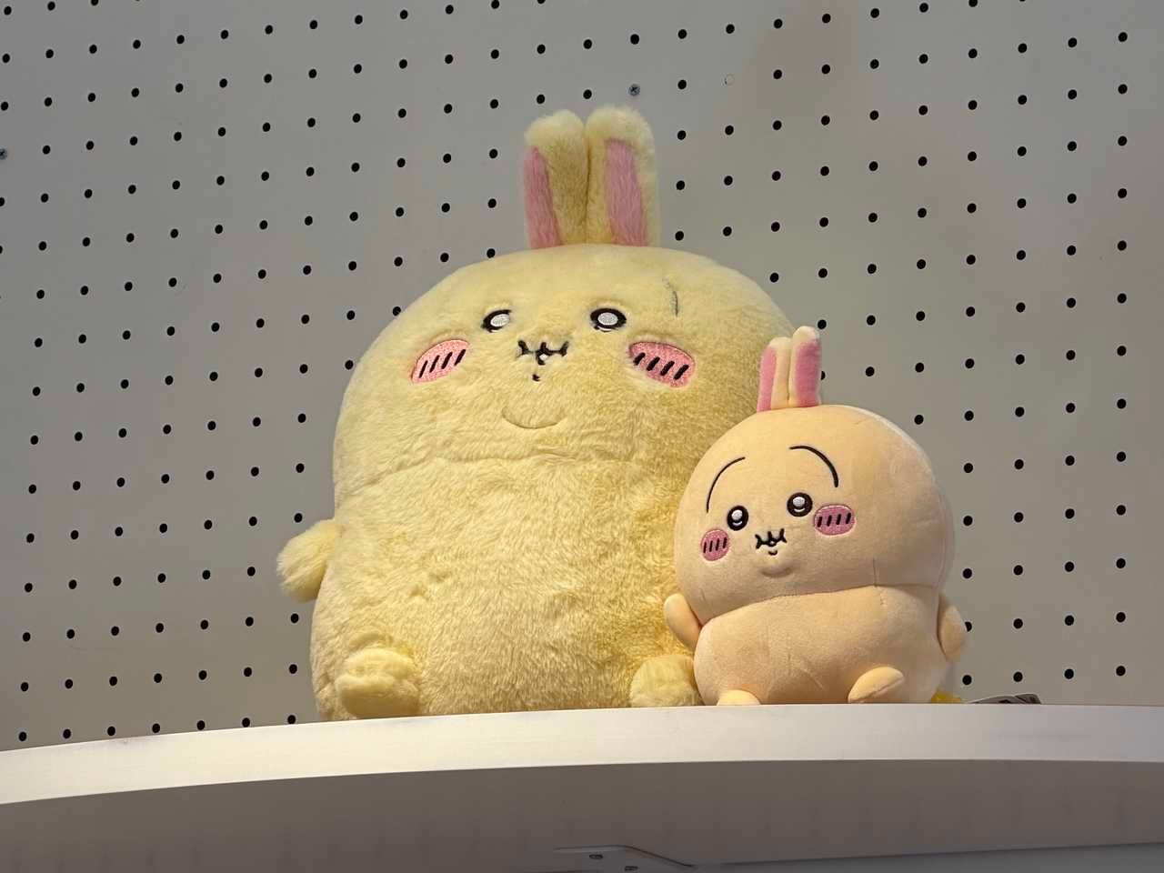 【乌拉】谁把小猪供在这里了 