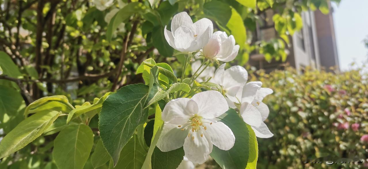 自媒体视频难道就如此下去吗？开头一句话就是“告诉你一个秘密！”“我不说你永远不知