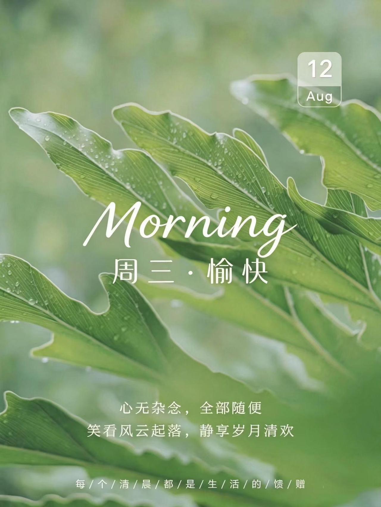 ☀️
美好的一天开始啦！

所有向上生长的盛景，都离不开日复一日的向下扎根❤️