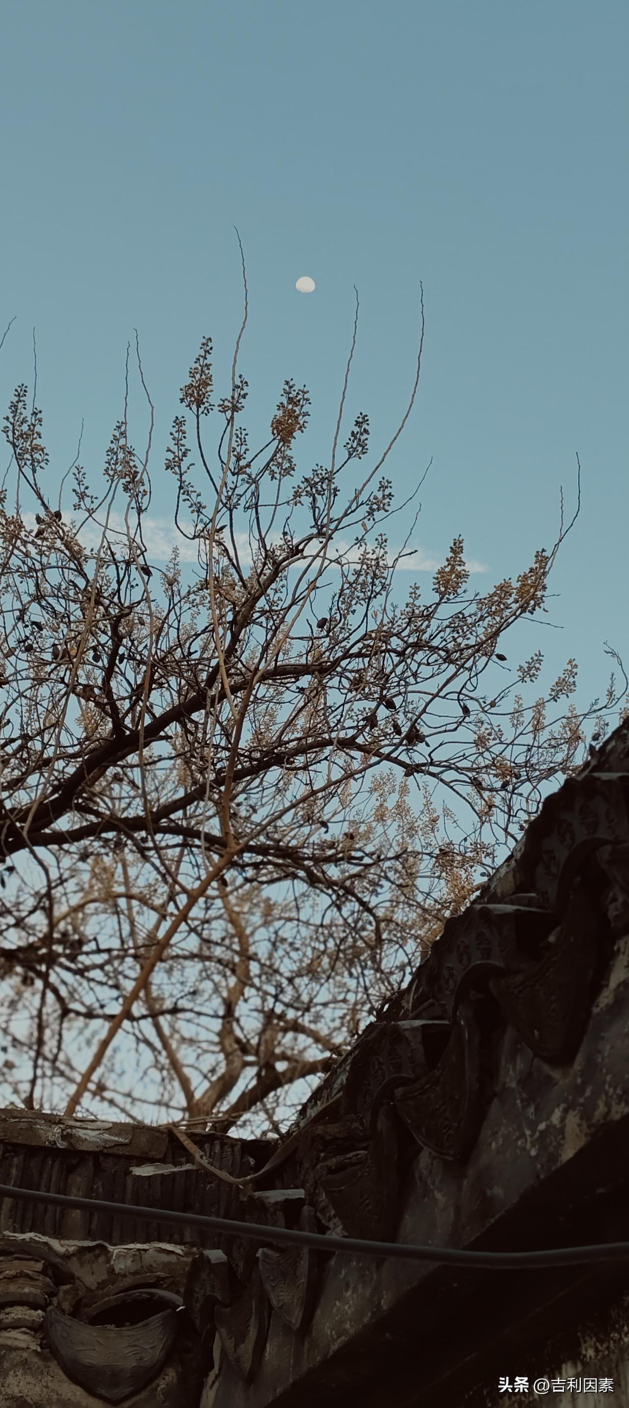 各自都有自己空间，陪伴没时间，也没必要，两代人理念不同，习惯各异，一个屋檐下生活