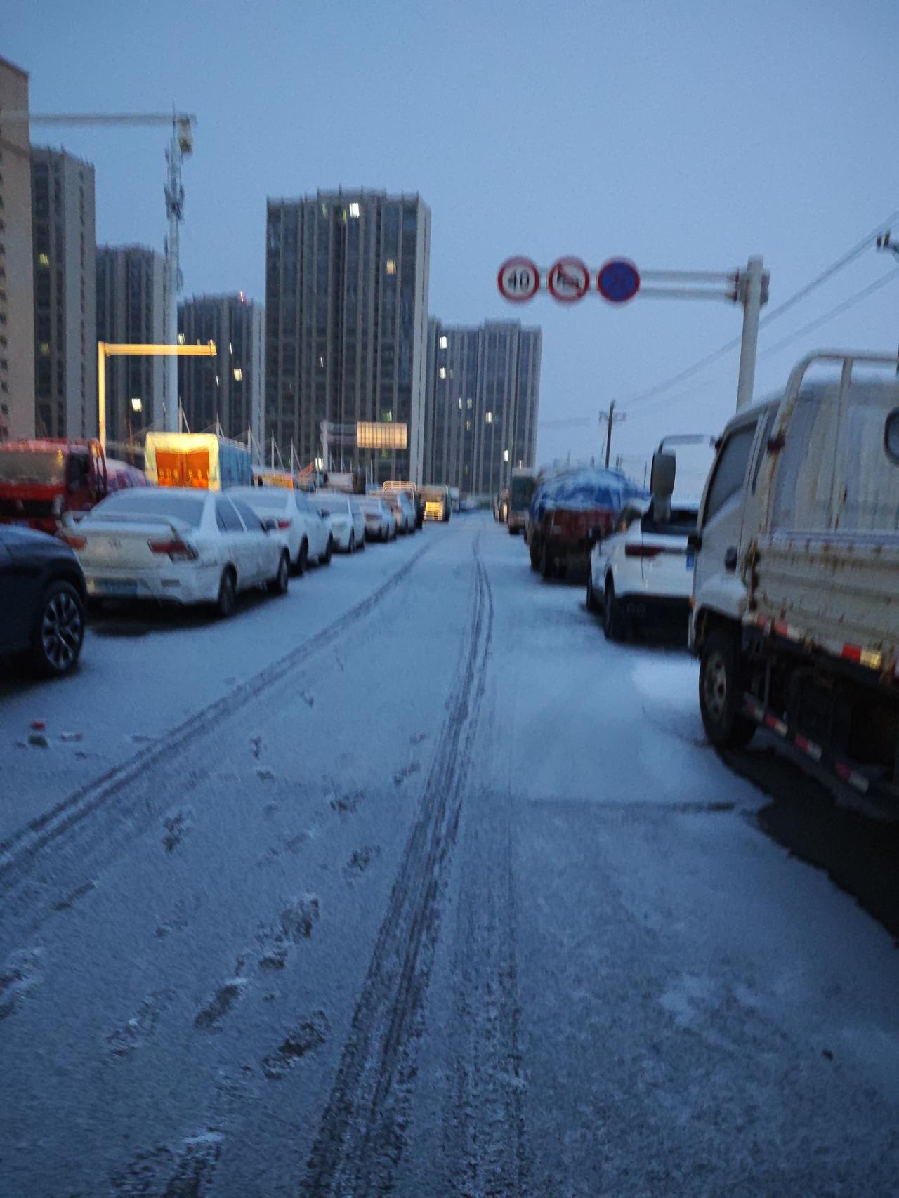 暖来雪融化，芳丽将满枝，我借春笔意，挥绘万千紫，壮马不勒缰，碧空任千里！