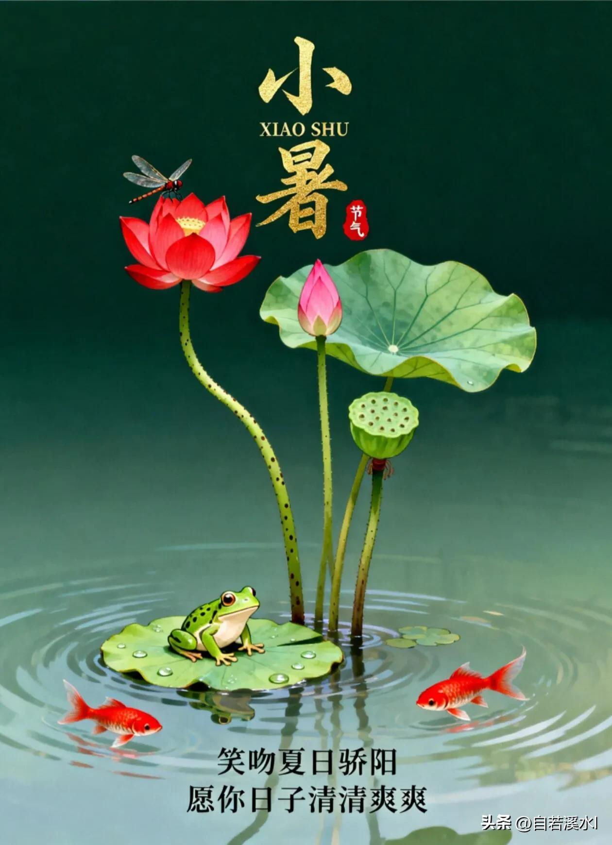  小暑悠长，寻一处阴凉，度半日清闲