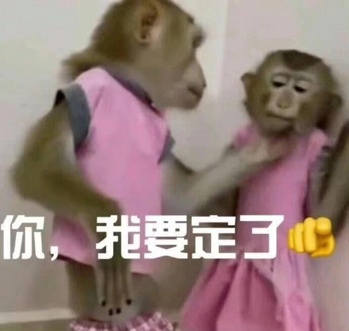 吗喽的命也是命表情包 ​​​