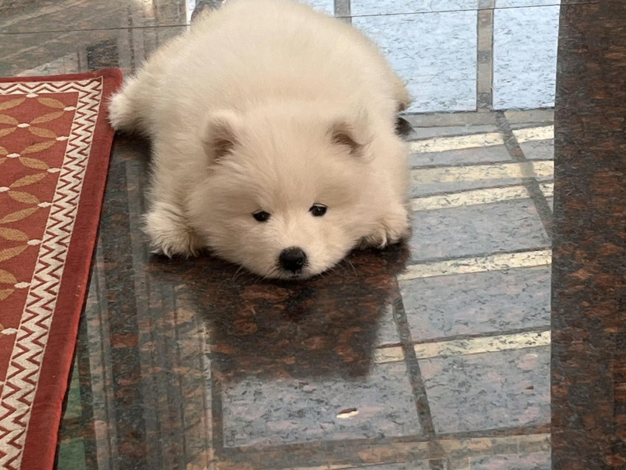 鸡续存吧 什么都像你产 