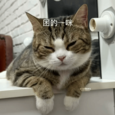 好好好 大眼就这样针对我（幸好我还有很多“儿子们”来战） 