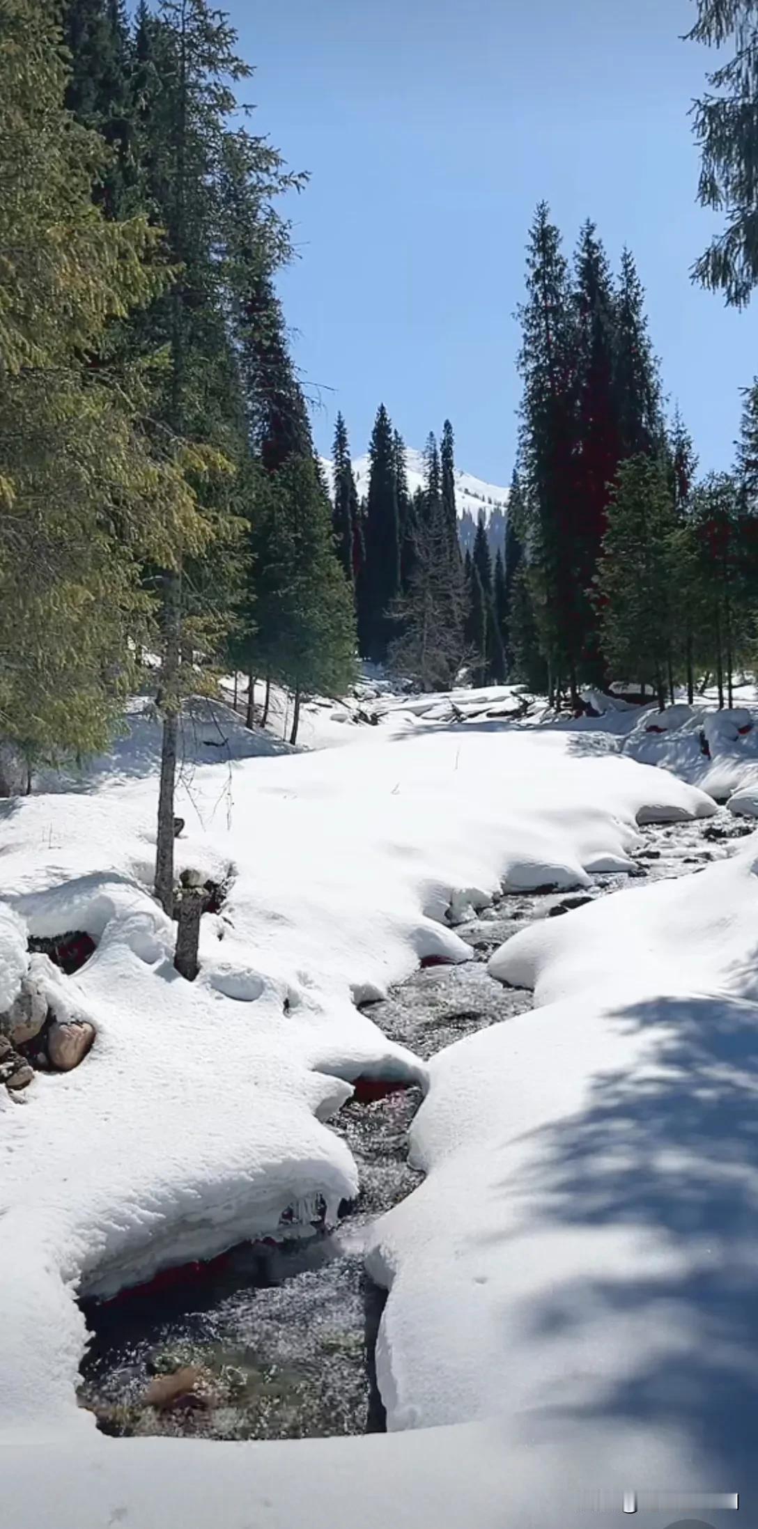 你最喜欢的一张公园景色照片库尔德宁国家森林公园