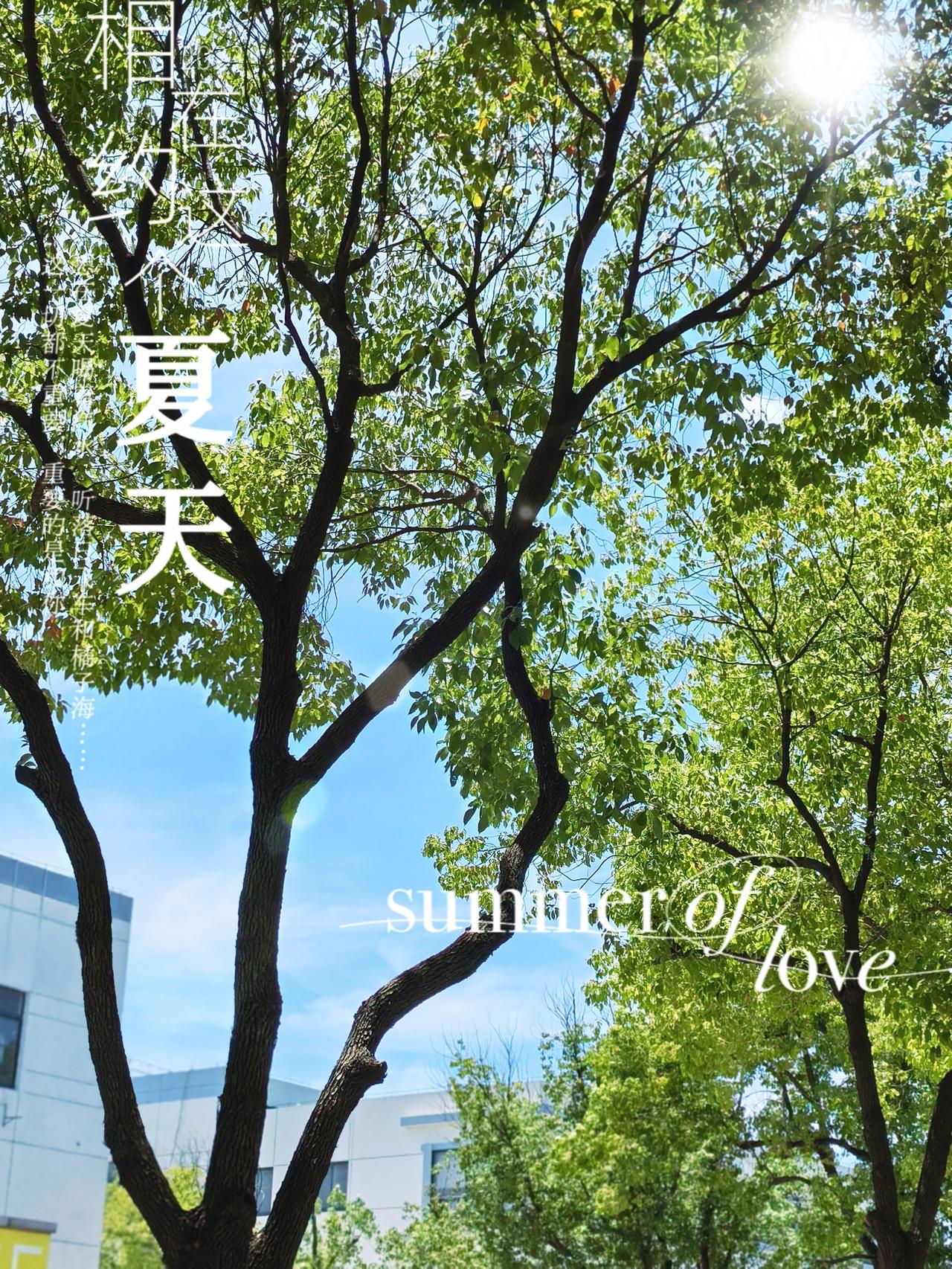 夏日天空，
常常晴空万里，
阳光灿烂的，
让人睁不开眼睛，
似乎在这种，
炽热的
