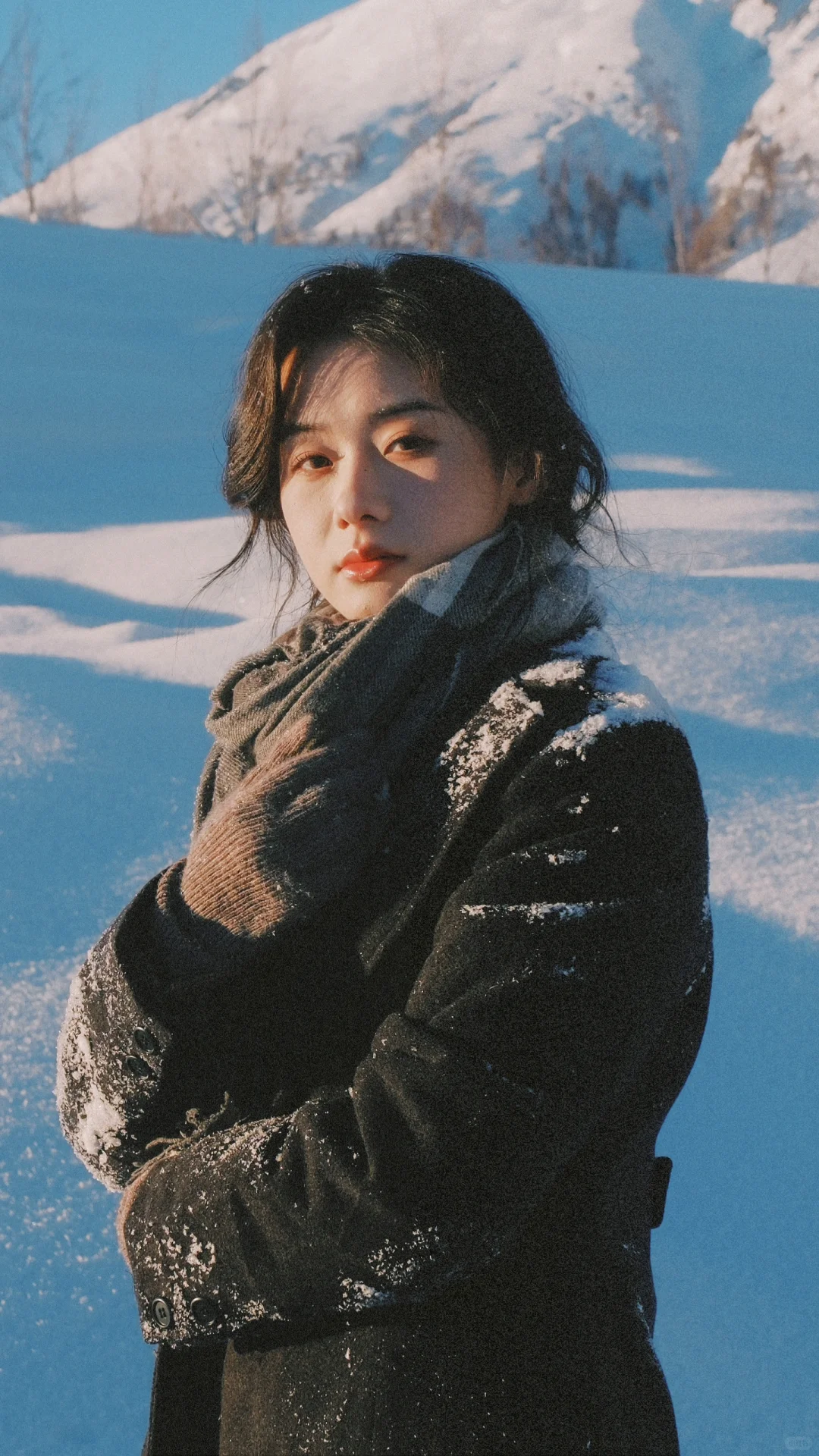 追一场北国的雪❄️