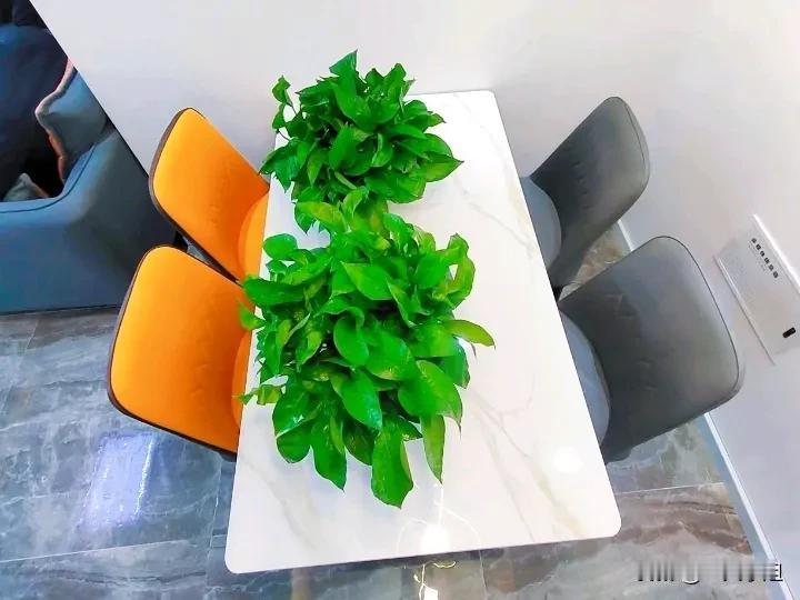 下午闲着，送孩子上学路上碰见一同事，她说她在我们院子租了一套175平的房子，做公