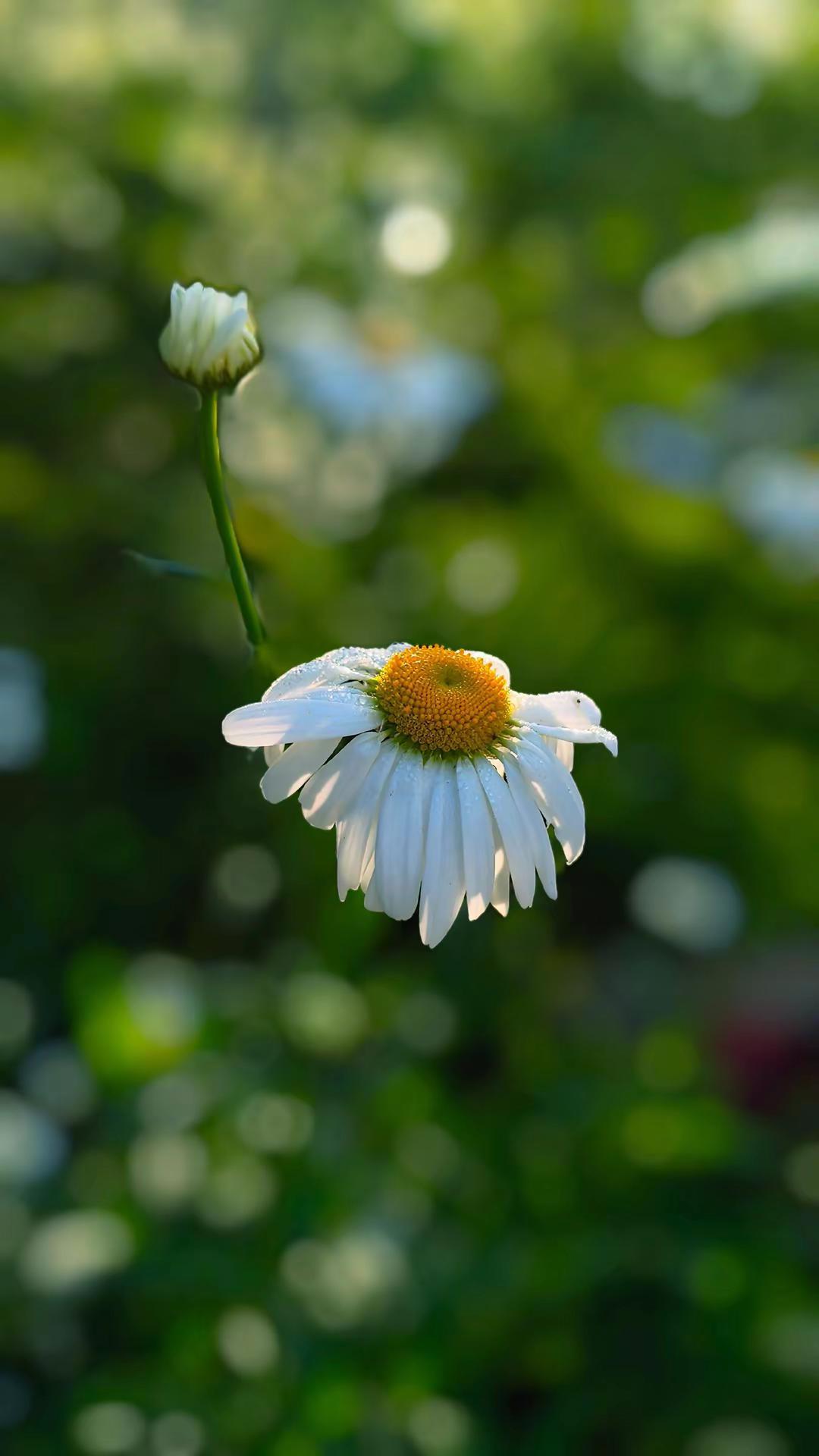 重复的事情坚持做，坚持的事情用心做