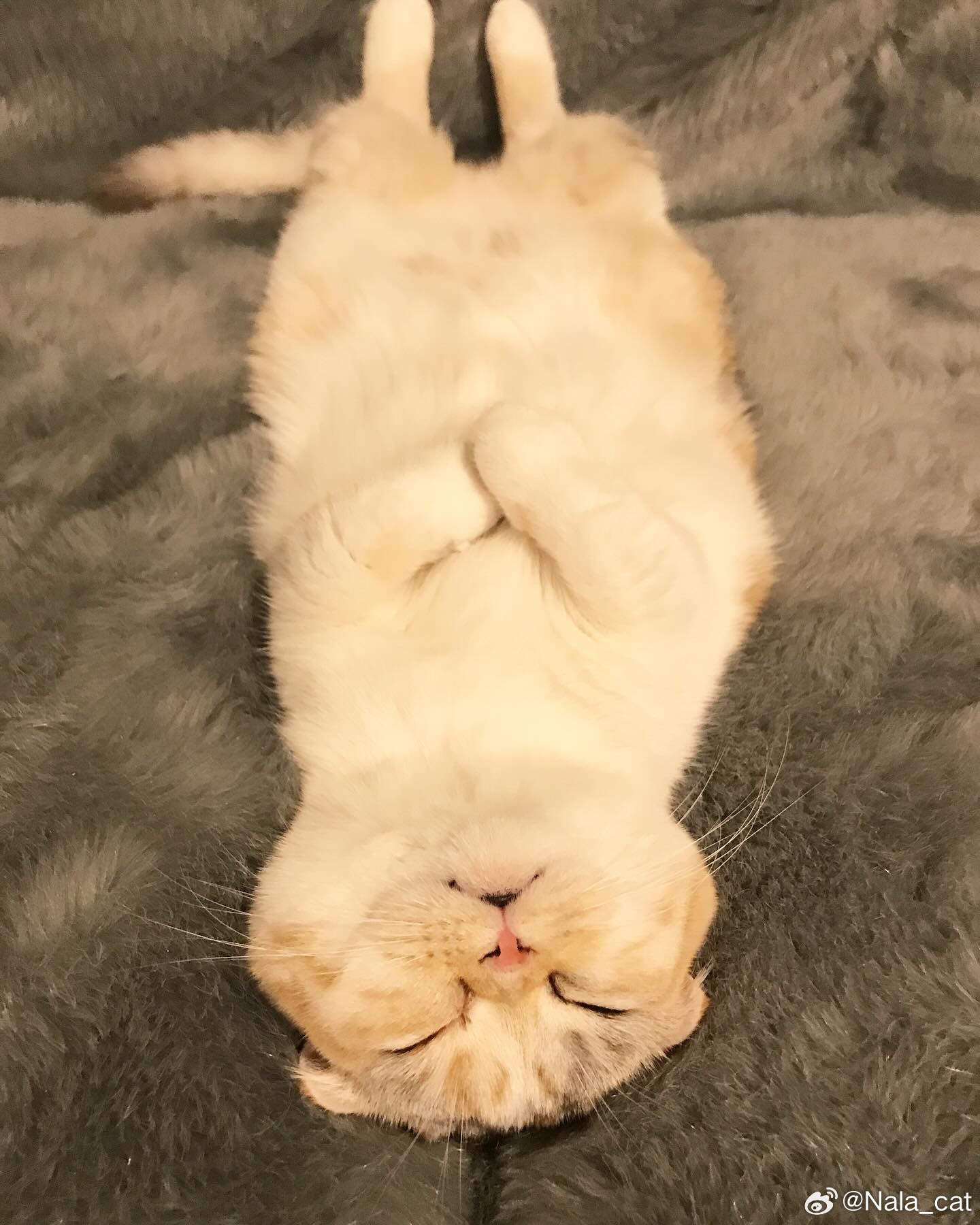 这是哪个小baby呀～眯起眼睛就是要亲亲😘 ​​​
