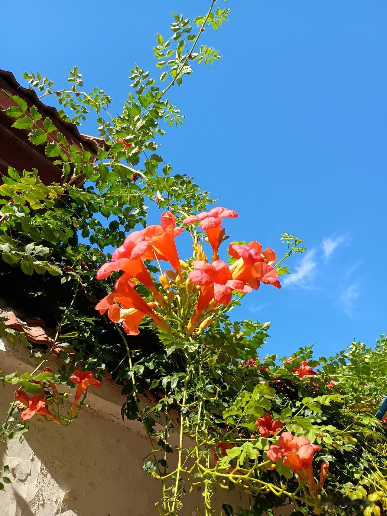 云霞高照凌霄红
雨意莅临竹叶翠
上联：夏逝秋临闻叶落，下联请您对 
夏逝秋临闻叶