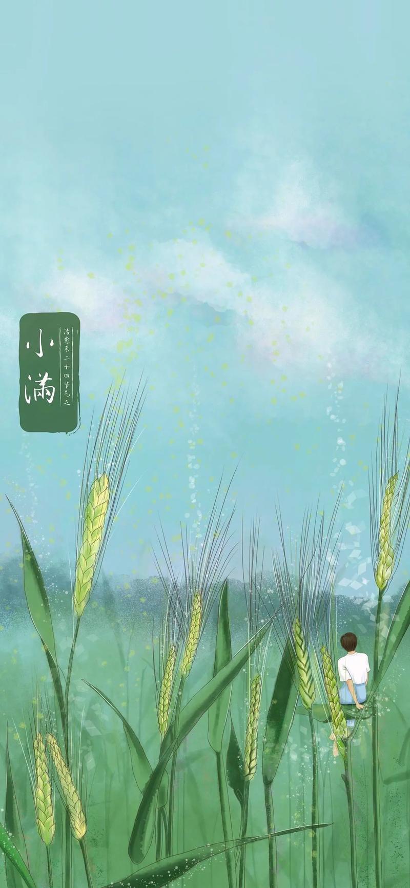 今日小满 小满节气藏着三重智慧：麦粒"小得盈满"的农事信号，雨水"江河渐满"的气