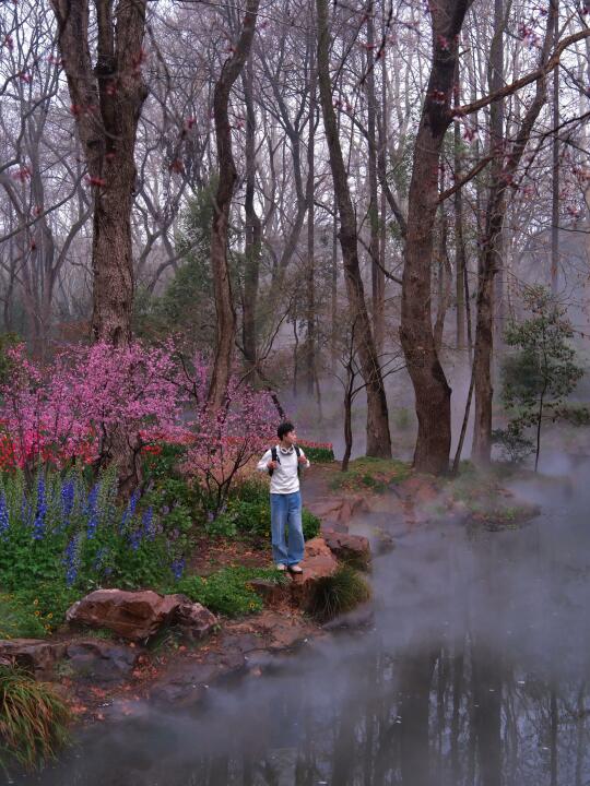 3.13实拍！南京版莫奈花园上新啦！雨天人少
