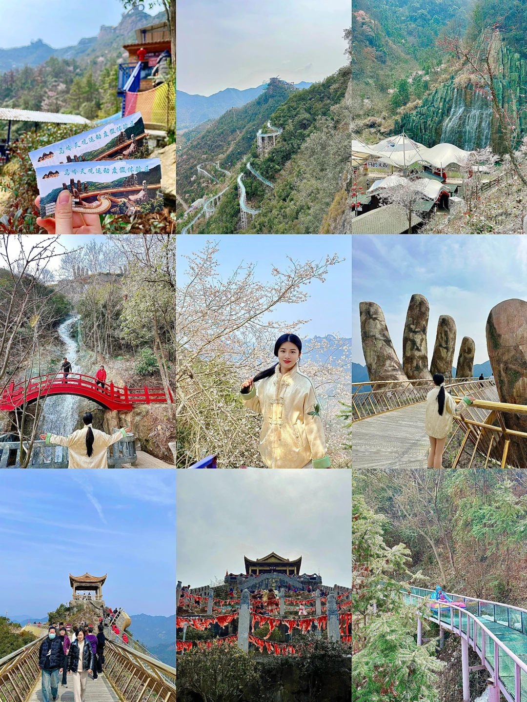 佛手桥+野樱花全盛期！马岭天观保姆级攻略