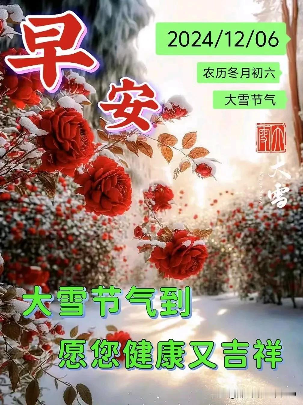 大雪到来送祝福，
愿友健康又快乐；
吉祥好运常相伴，
笑口常开乐逍遥。