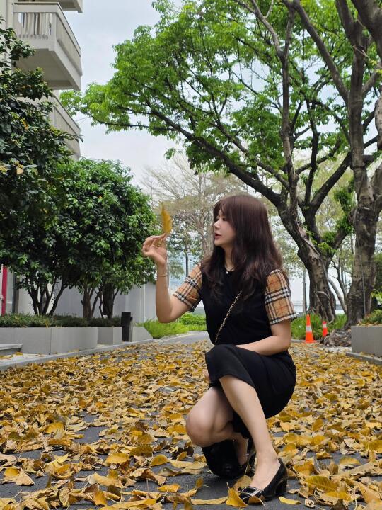 春天的落叶🍂