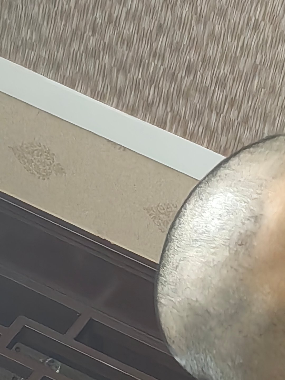 常去的理发店关门了，在公园看到个剪发的，妈呀真的不能去，给推成和尚了，本来头又圆