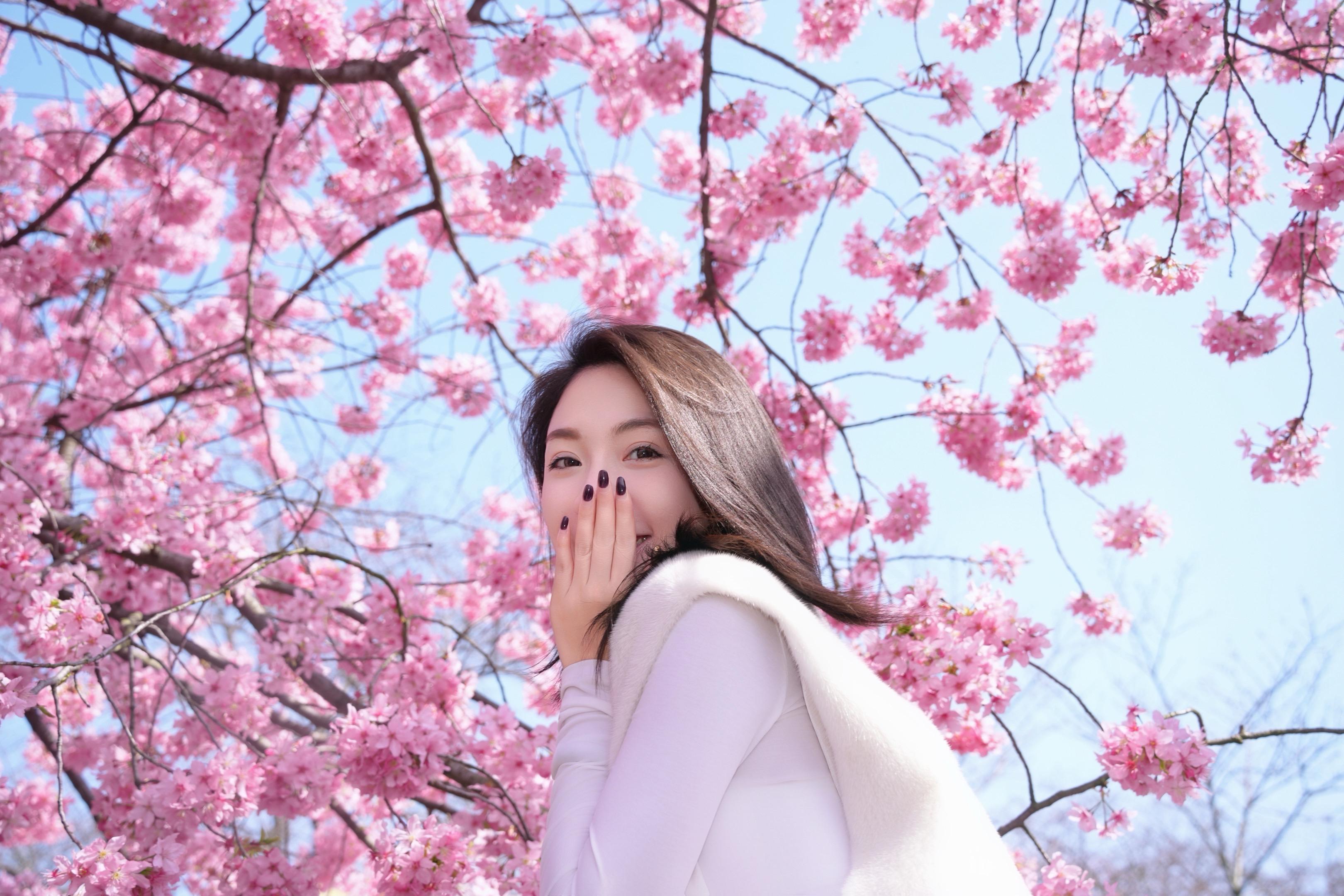 樱花 樱花氛围打卡 樱花甜美 樱花开了 奔赴一场樱花之约