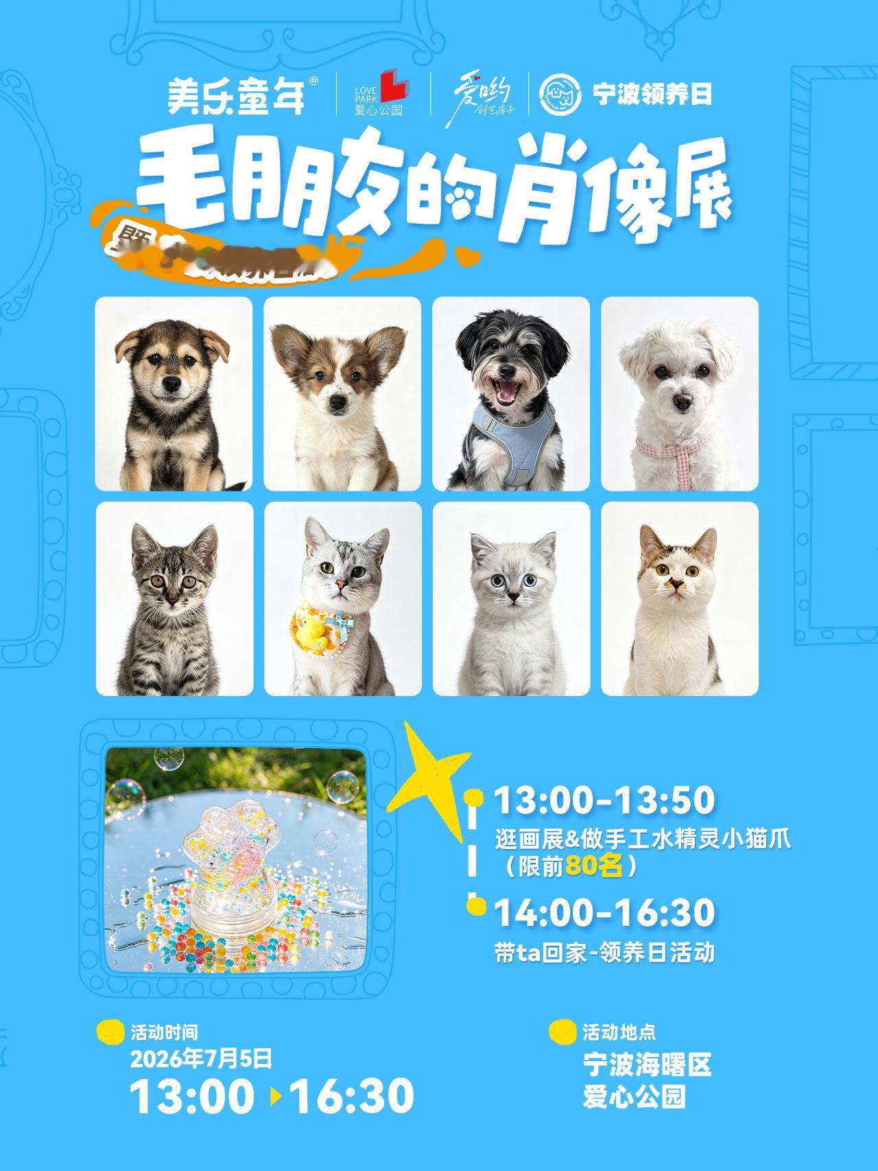 宁波领养日之毛朋友的肖像展 100位美乐童年艺术小孩，为流浪的毛孩子画下肖像，有