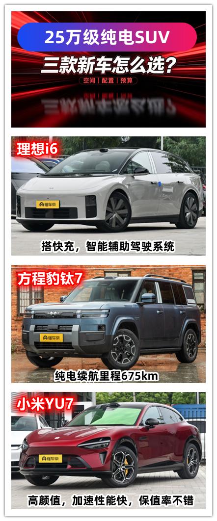 25万的预算想要购买一辆保养便宜的纯电SUV，空间要大，最好是中大型SUV，该如