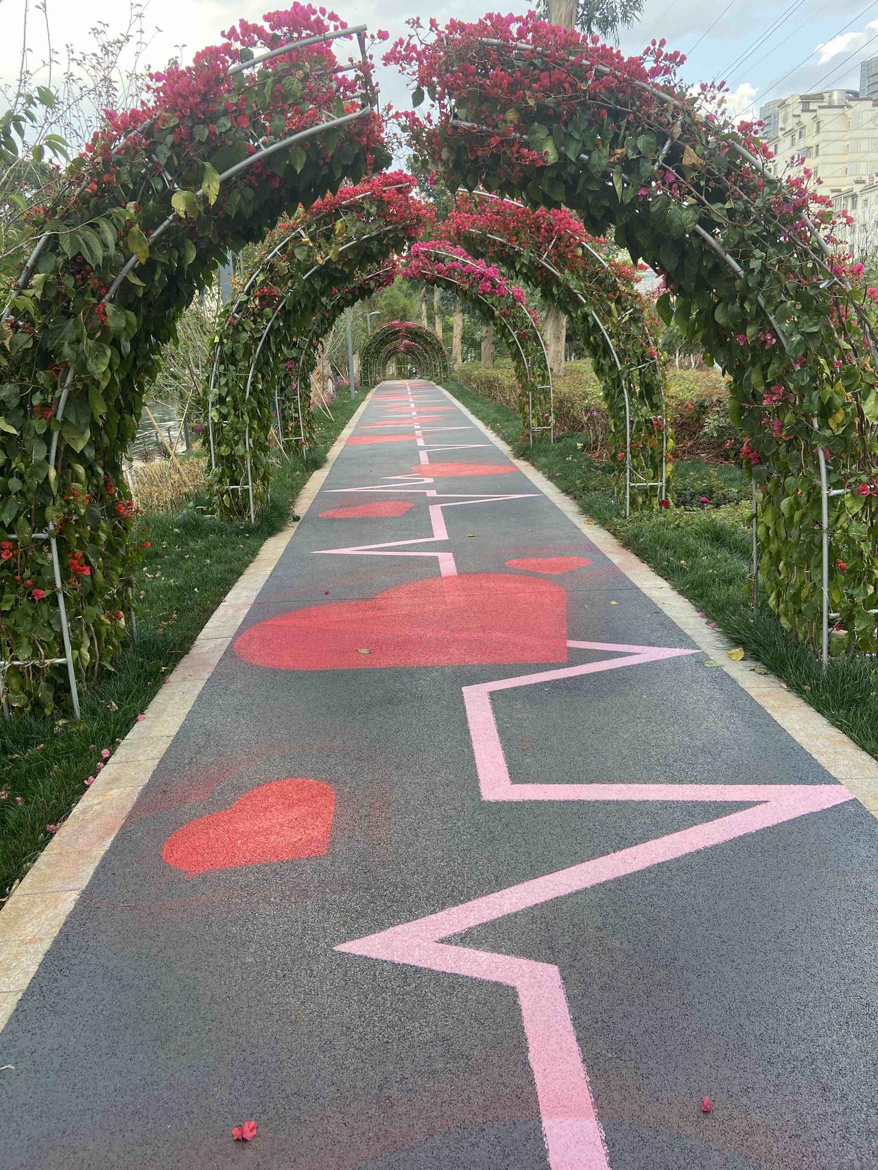散步的时候，本来公园花廊下面水泥地上画心跳图形，觉得很有创意，结果又给画上了红色