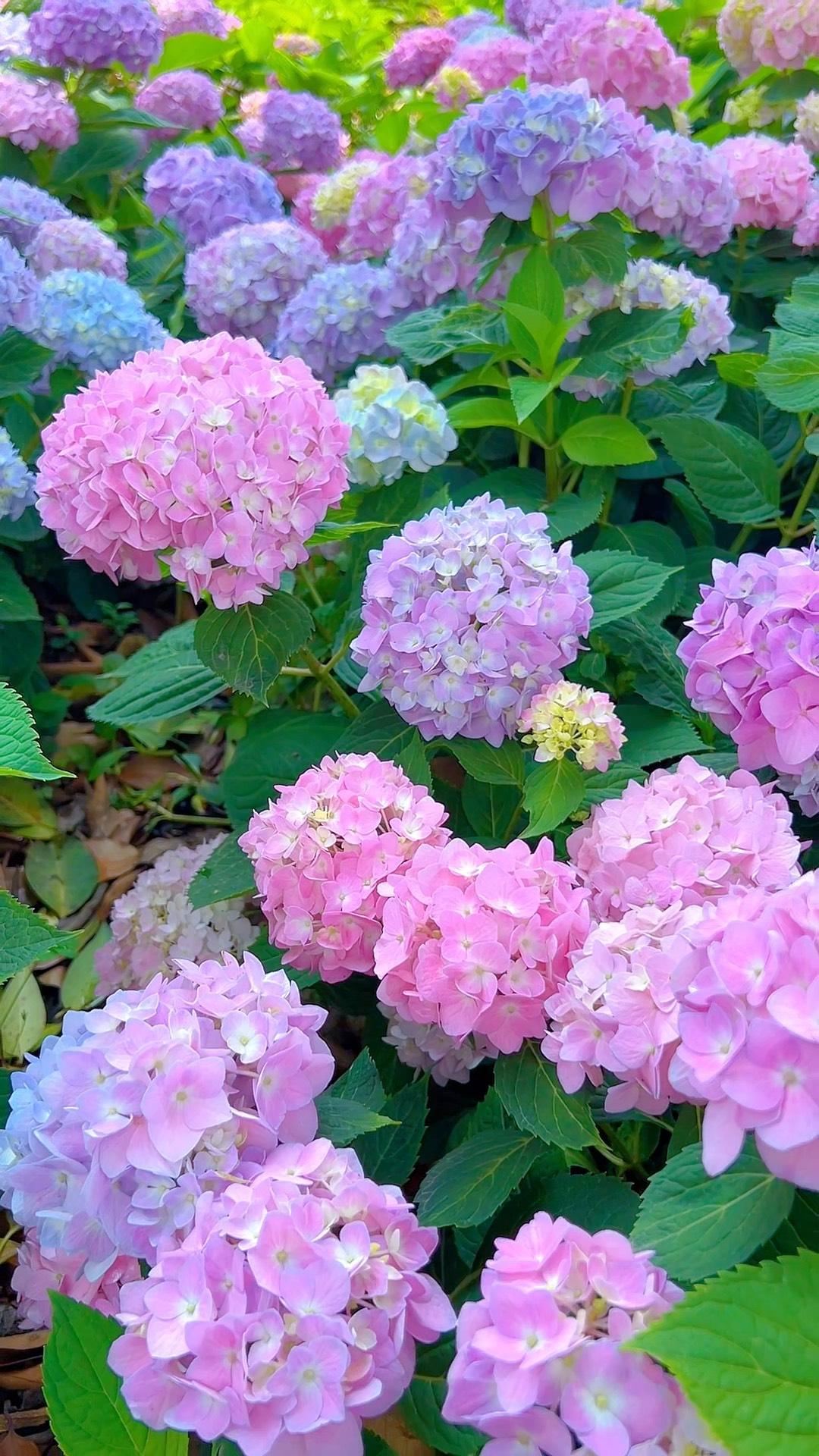 女人最该追求的就是权力和金钱，
而不是整天困在情爱里，
纠结别人喜不喜欢自己，