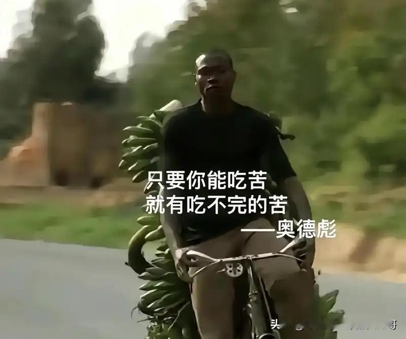 哎，说起那个九彩果鲜，我奥德彪拉一车香蕉都要骂两句。当初说什么“投资水果，日入斗