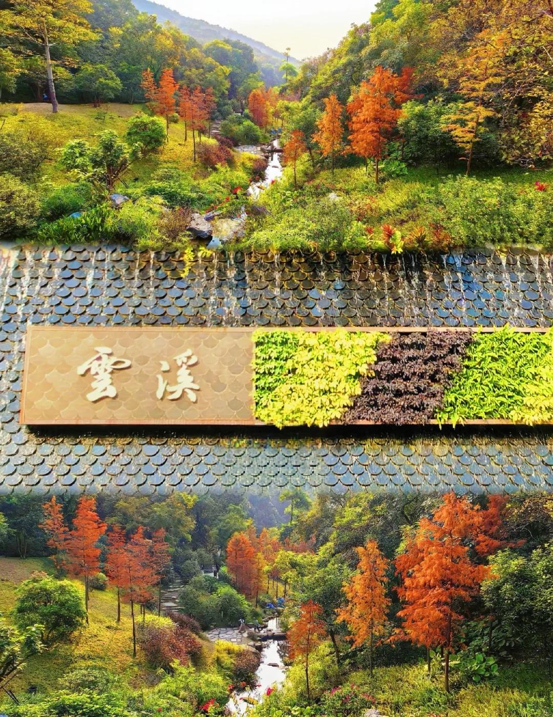 在云溪植物园感受阳光的形状🍃
体验广州版绿野仙踪，就来云溪植物园！
	
🗺路