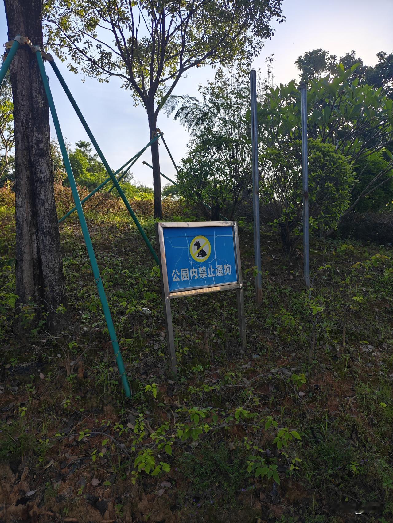 为什么那些禁止🚫标识成了摆设？

你们有没有发现，路边的禁停标识旁边停满了车，