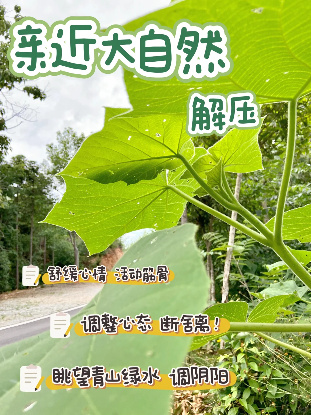 把所有不开心的事都留在五月， 六月重新开始