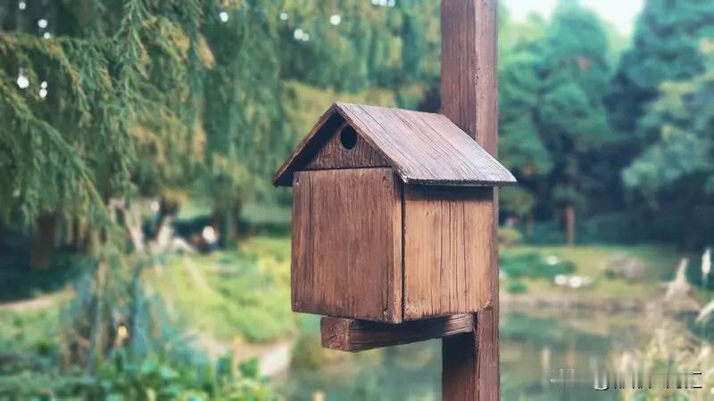 快递在某鸟驿站丢了，别慌，按这几步来。
先赶紧和驿站工作人员沟通，让他们帮忙查，