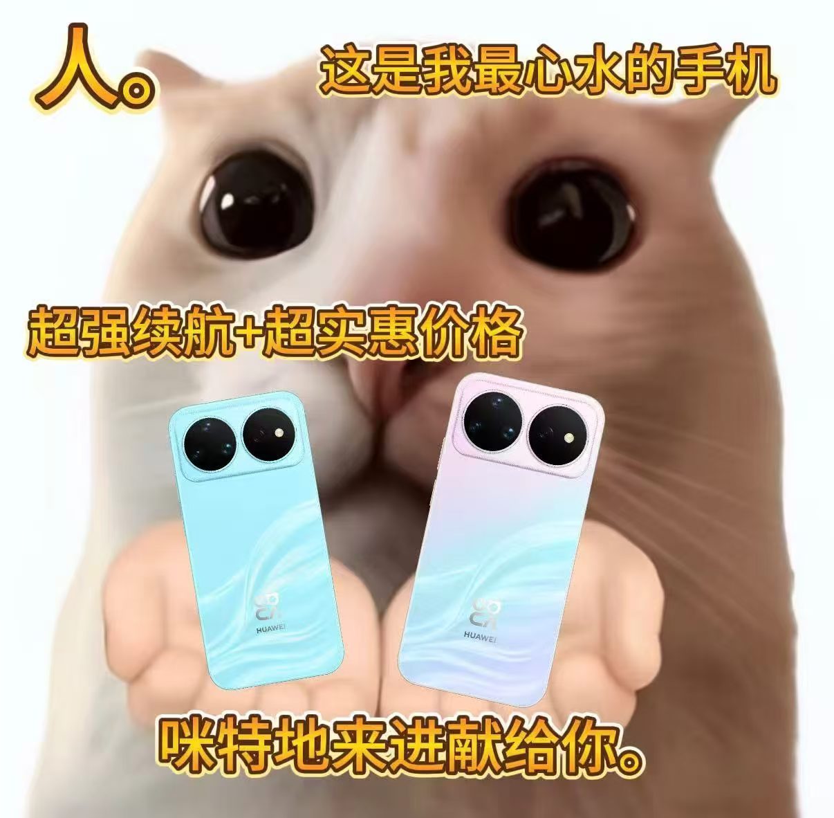 nova16价格真香今年手机市场其实很明显，用户不太愿意为单一卖点买单了，大家更