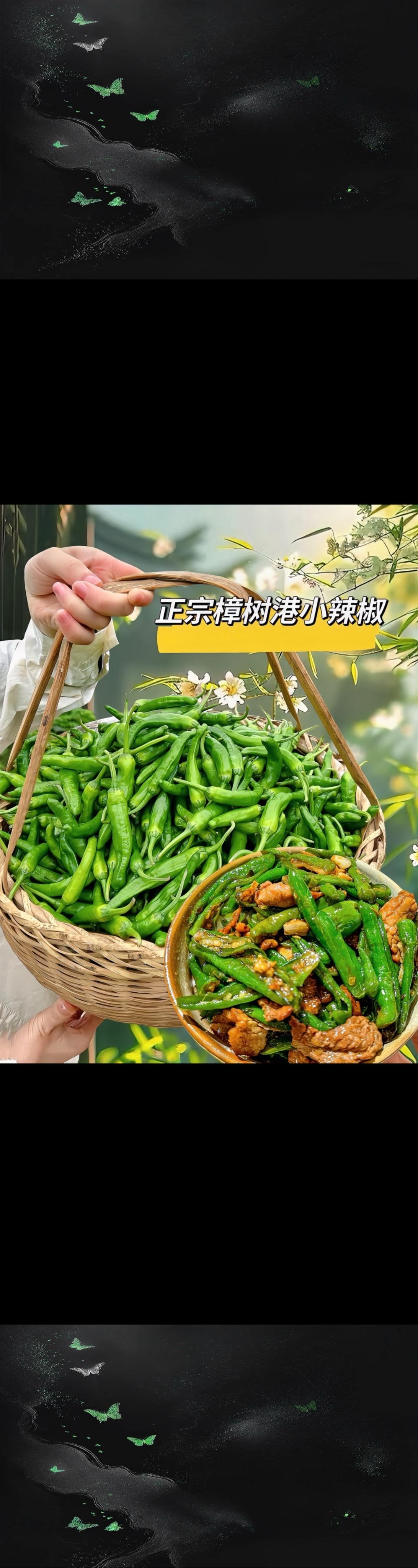这款辣椒堪称辣椒界的“爱马仕”，它皮薄肉厚且嫩，浓郁的椒香十分诱人！烹...