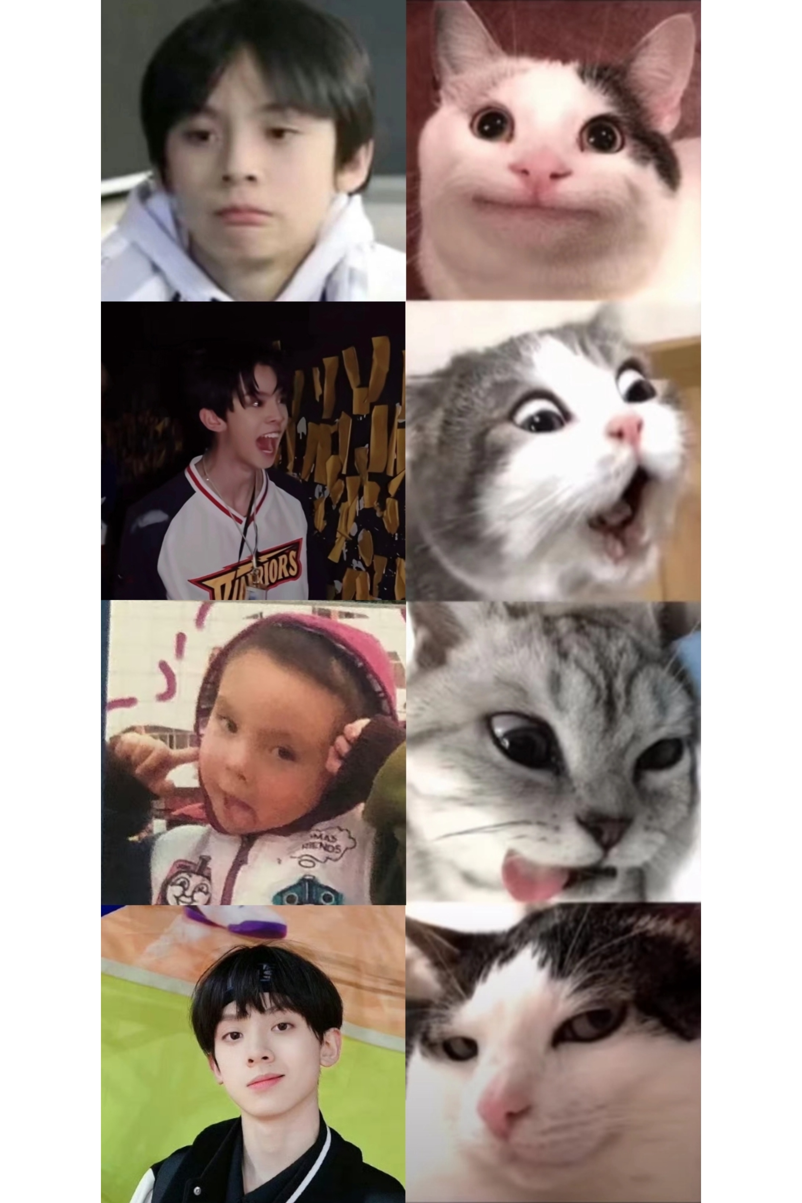 小猫四宫格（航咪版左航一路向海的少年