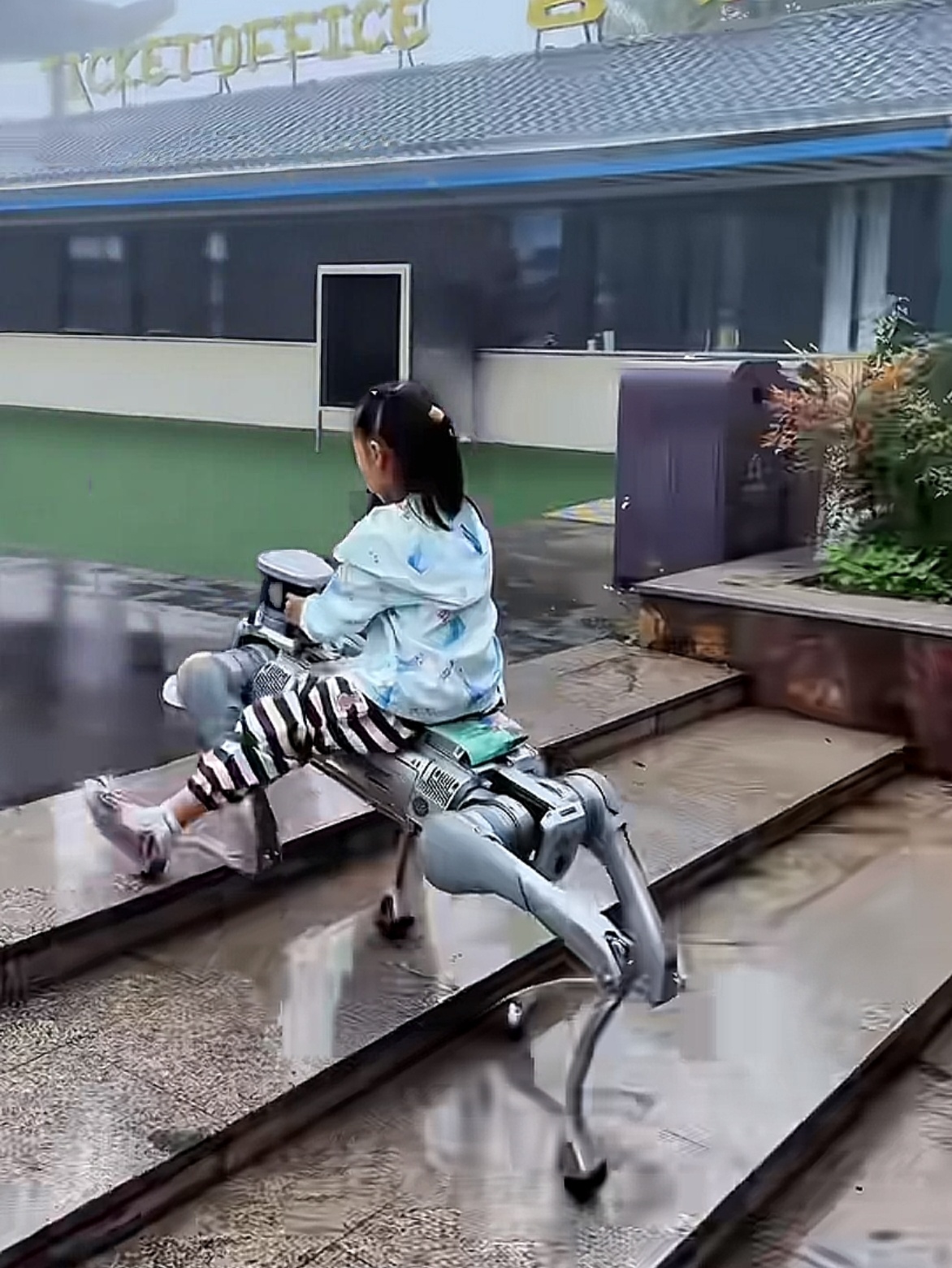 不是，现在爬山可以骑着机器狗了？我也是刚需啊有没有能驮200斤的 